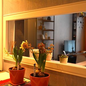 Deluxe Appartement